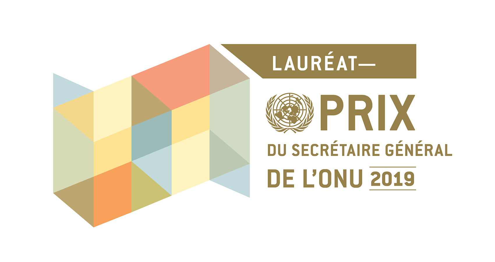 UN Secretary-General Award 2019
